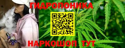 spice Шелехов