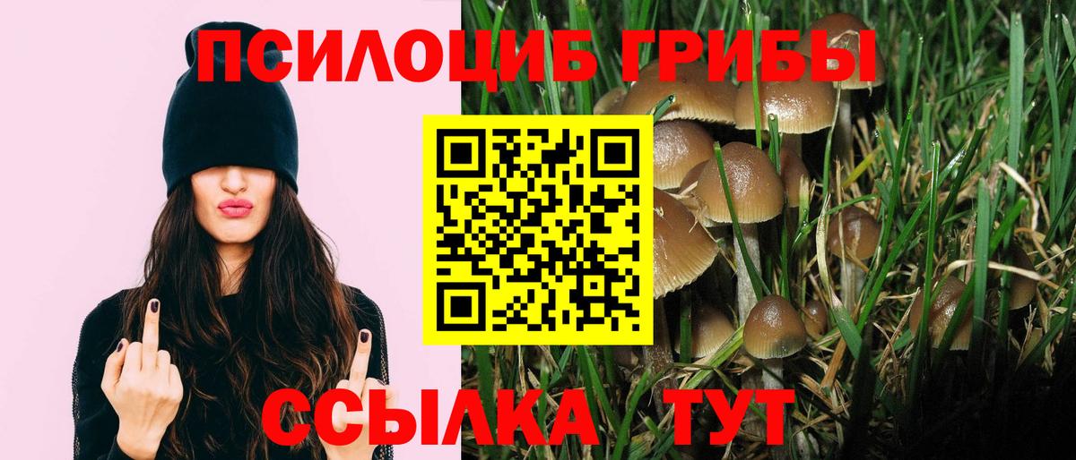 Галлюциногенные грибы MAGIC MUSHROOMS Ачхой-Мартан