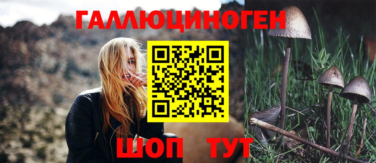 Псилоцибиновые грибы прущие грибы  Вход с VPN  Псилоцибиновые грибы MAGIC MUSHROOMS  Ачхой-Мартан 